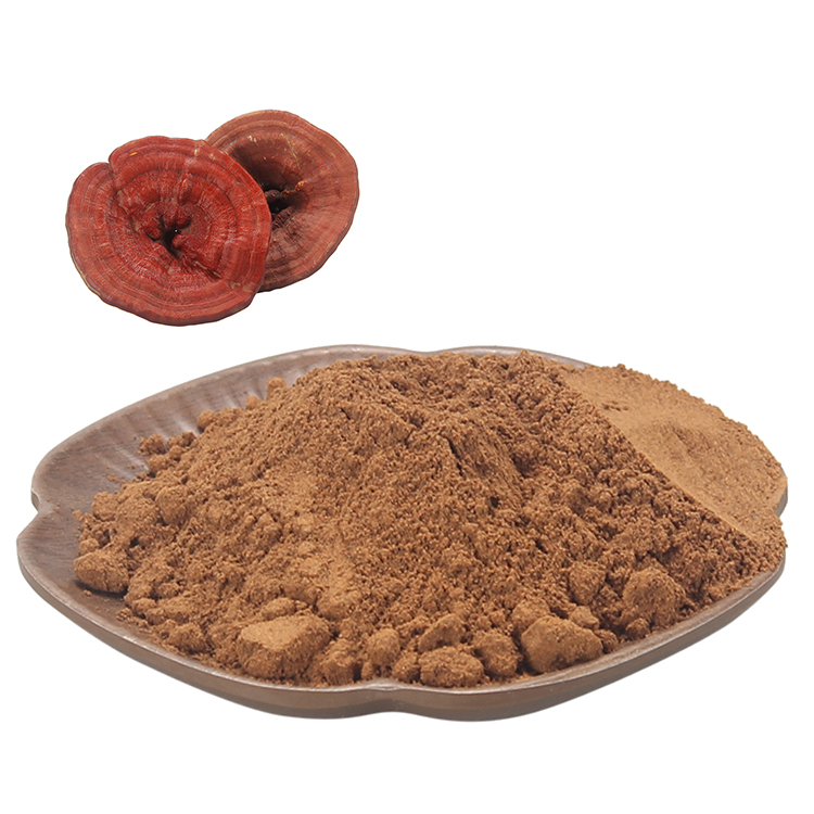 Longevity Support Formula with Forest Mushrooms